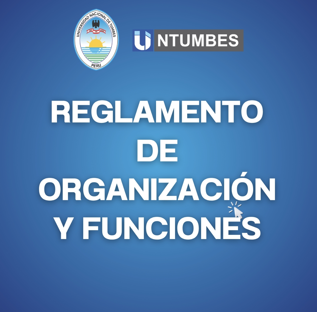 Reglamento de organización y funciones