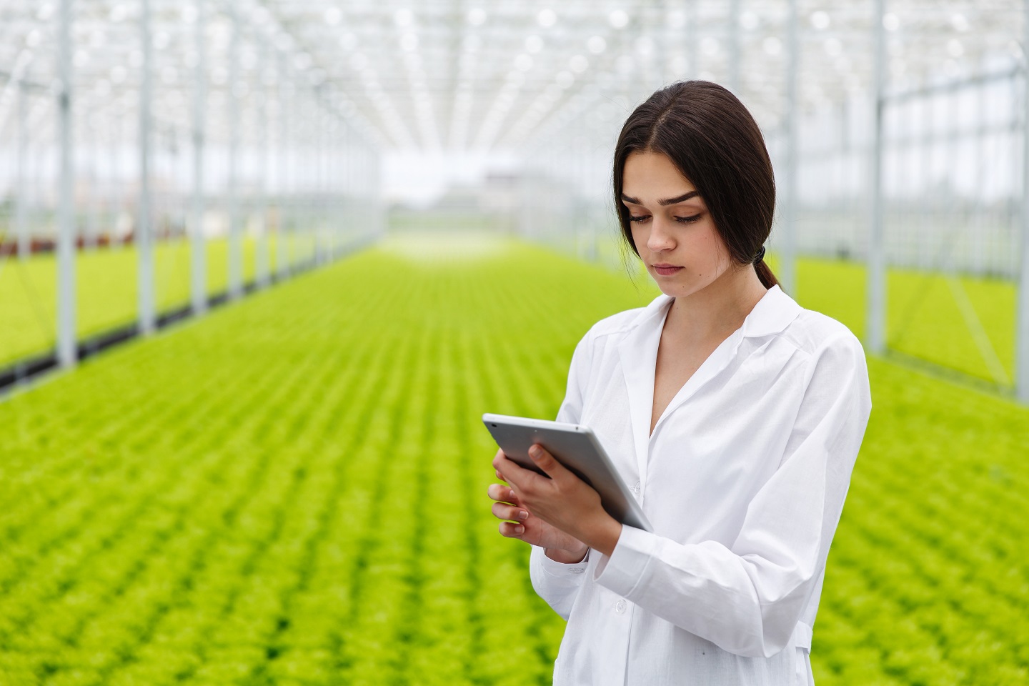 Maestría en Ingeniería Agroindustrial