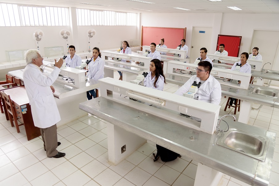 Programa Especializado