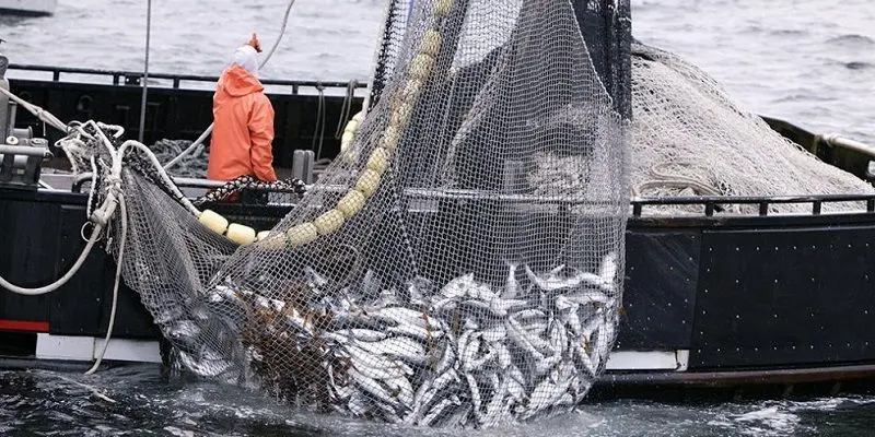 Enfoque en la Sostenibilidad