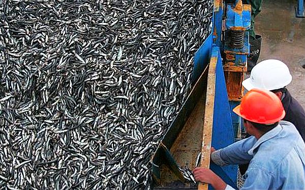 Calidad Educativa y Experiencia del Personal