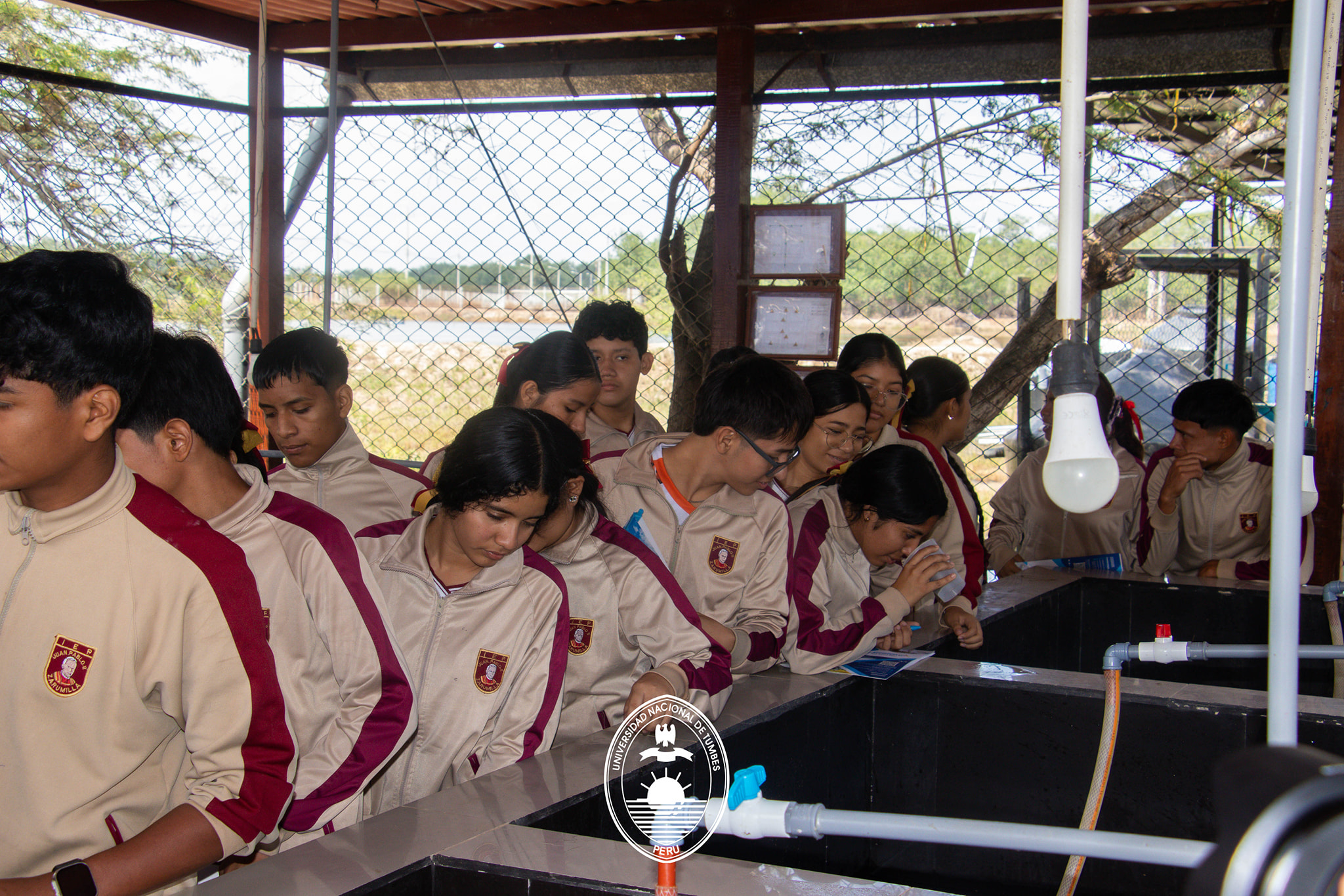 Observando la crianza de especies 